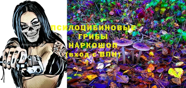 альфа пвп Горно-Алтайск