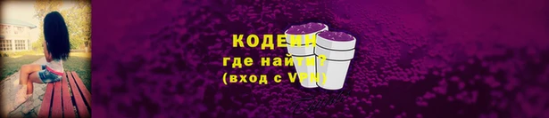ГАЛЛЮЦИНОГЕННЫЕ ГРИБЫ Вязники