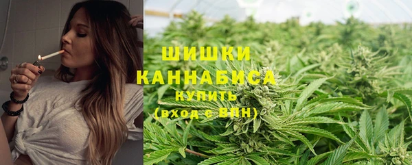 альфа пвп Горно-Алтайск